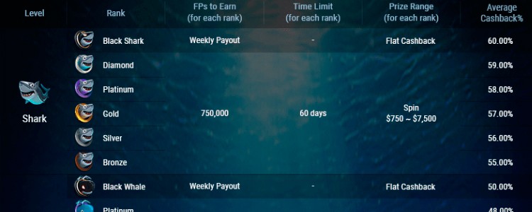 Таблица с выплатами